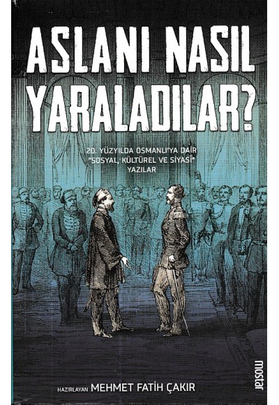 Aslanı Nasıl Yaraladılar