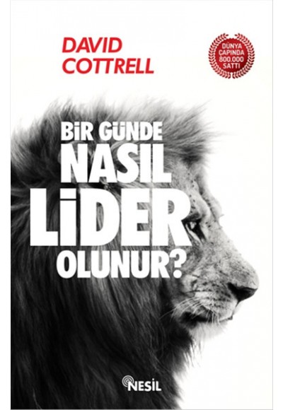 Bir Günde Nasıl Lider Olunur?