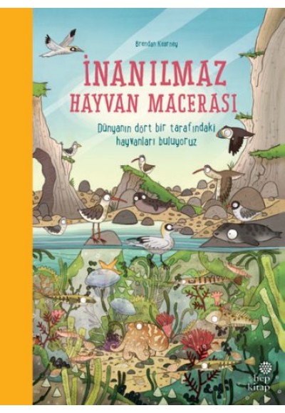 İnanılmaz Hayvan Macerası (Ciltli)