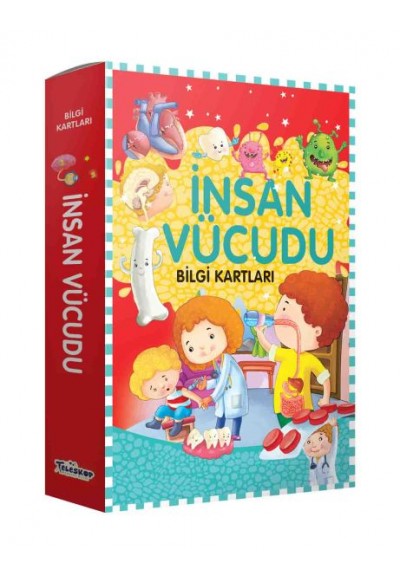 Bilgi Kartları - İnsan Vücudu