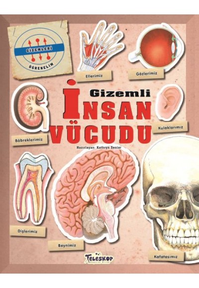 Gizemleri Öğrenelim - Gizemli İnsan Vücudu