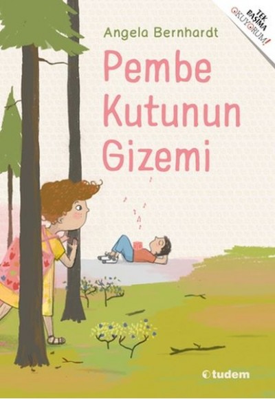 Pembe Kutunun Gizemi