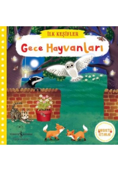 İlk Keşifler - Gece Hayvanları (Ciltli)