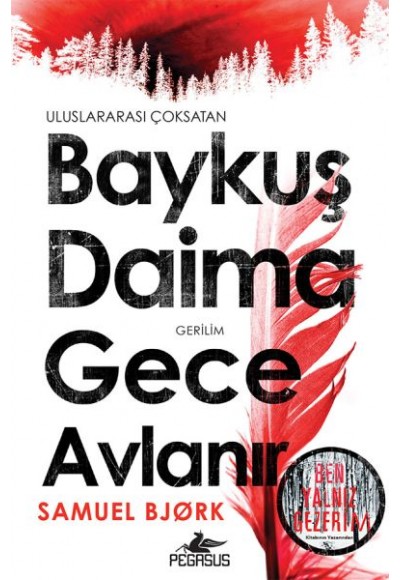 Baykuş Daima Gece Avlanır