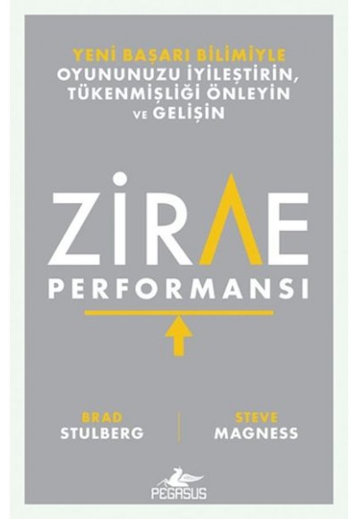 Zirve Performansı