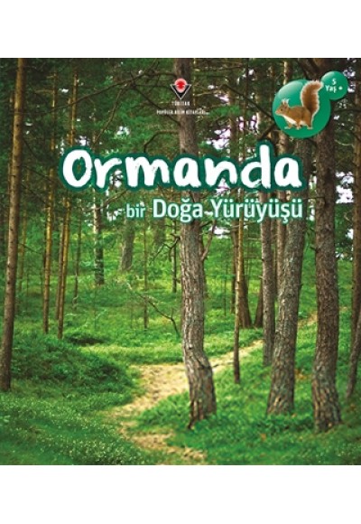 Ormanda Bir Doğa Yürüyüşü