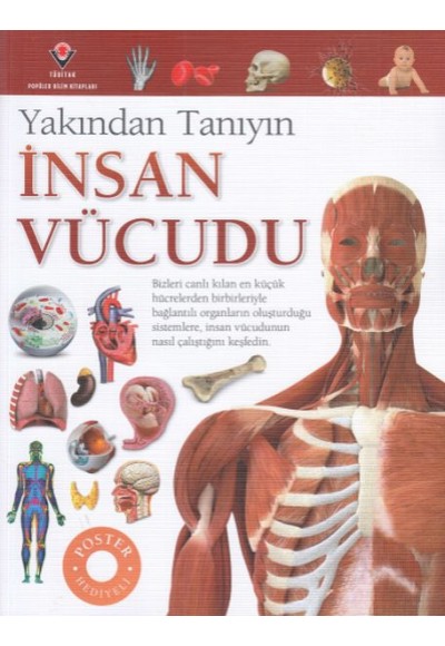 İnsan Vücudu - Yakından Tanıyın