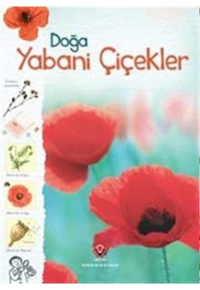 Doğa-Yabani Çiçekler