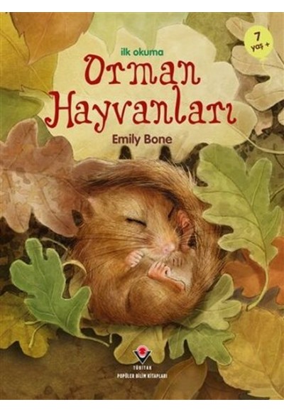 İlk Okuma - Orman Hayvanları