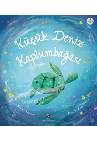 Küçük Deniz Kaplumbağası