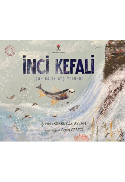 İnci Kefali