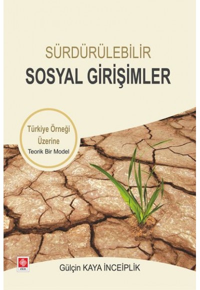 Sürdürülebilir Sosyal Girişimler