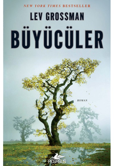 Büyücüler