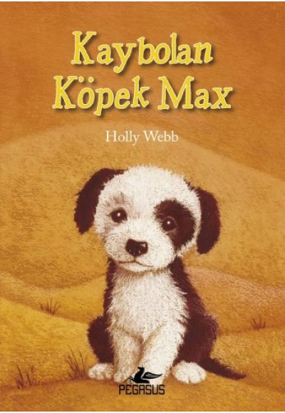 Kaybolan Köpek Max