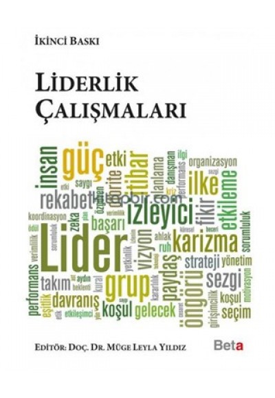 Liderlik Çalışmaları