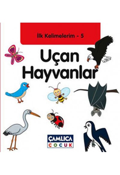 Uçan Hayvanlar / İlk Kelimelerim -5