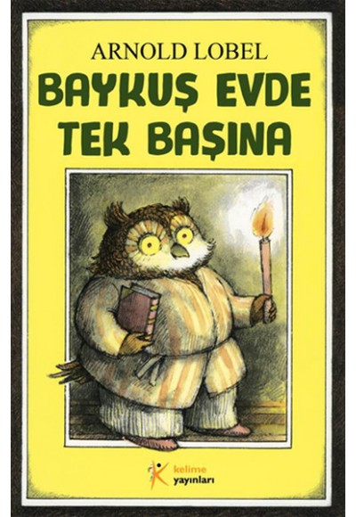 Baykuş Evde Tek Başına