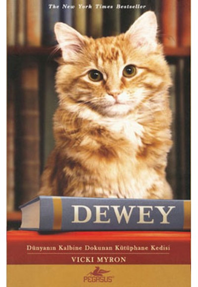 Dewey (Cep Boy)