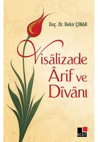 Visalizade Arif ve Divanı