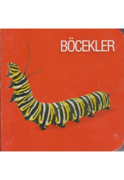 Böcekler