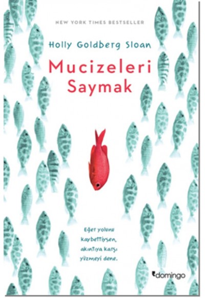 Mucizeleri Saymak