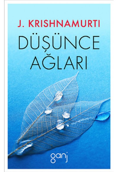 Düşünce Ağları