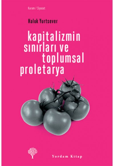 Kapitalizmin Sınırları ve Toplumsal Proletarya