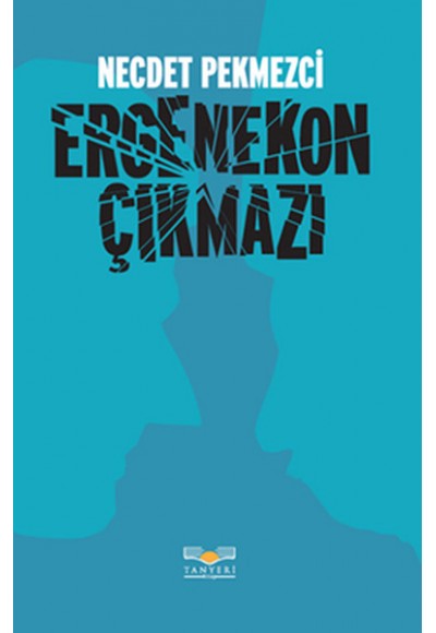 Ergenekon Çıkmazı