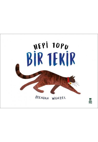 Hepi Topu Bir Tekir