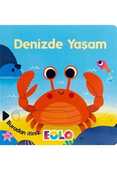 Sürgülü Kitaplar-Denizde Yaşam