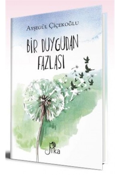 Bir Duygudan Fazlası