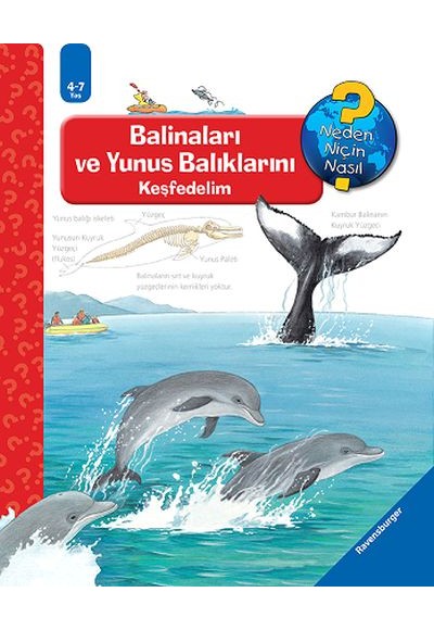 Ravensburger Maksi Balinaları ve Yunus Balıklarını Keşfedelim