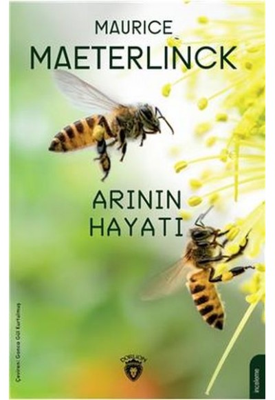 Arının Hayatı