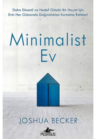 Minimalist Ev