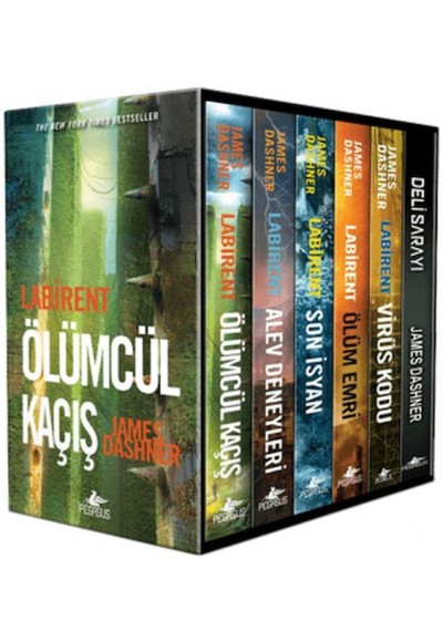 Labirent Serisi Kutulu Set (6 Kitap)