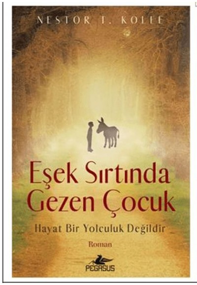 Eşek Sırtında Gezen Çocuk