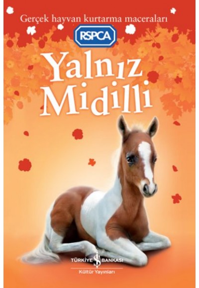 Yalnız Midilli