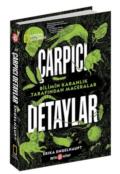 National Geographic - Çarpıcı Detaylar