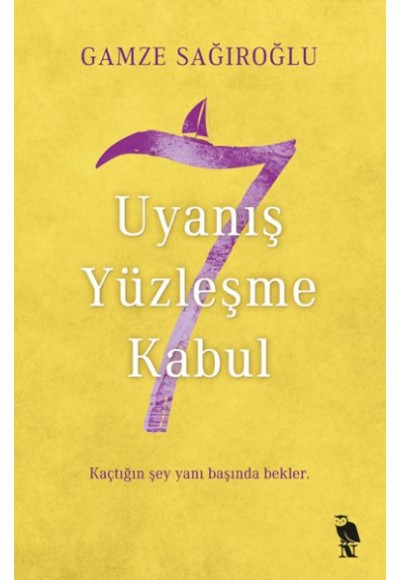 7 Uyanış Yüzleşme Kabul