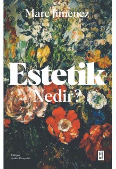 Estetik Nedir ?