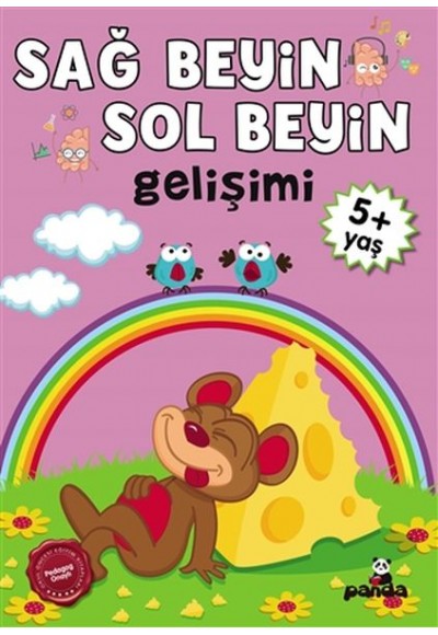 5 Yaş Sağ Beyin-Sol Beyin Gelişimi