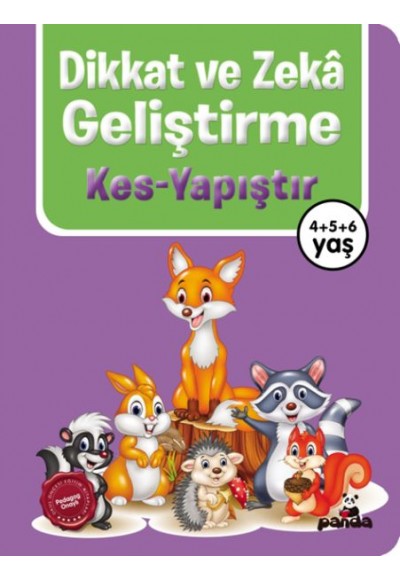 Dikkat ve Zekâ Geliştirme – Kes - Yapıştır