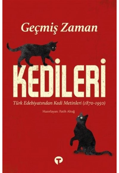 Geçmiş Zaman Kedileri