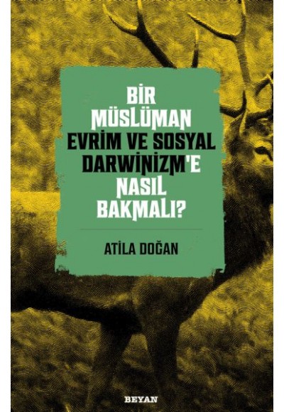 Bir Müslüman Evrim ve Sosyal Darwinizm’e Nasıl Bakmalı?