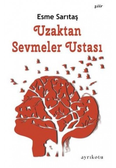 Uzaktan Sevmeler Ustası