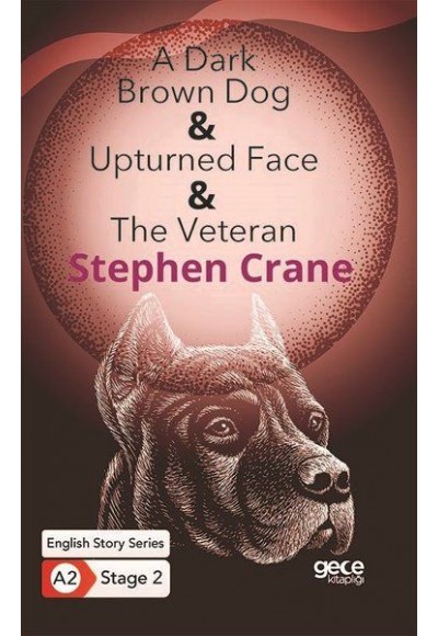 A Dark Brown Dog - Upturned Face - The Veteran - İngilizce Hikayeler A2 Stage 2