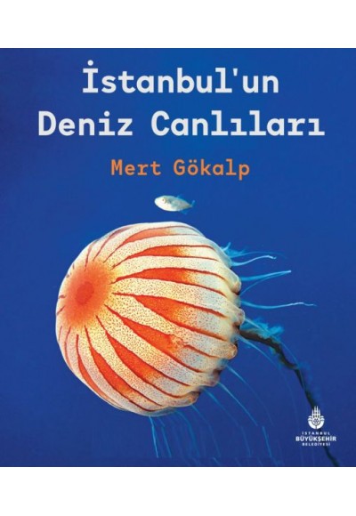 İstanbulun Deniz Canlıları