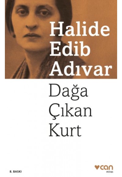 Dağa Çıkan Kurt