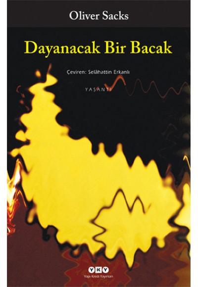 Dayanacak Bir Bacak