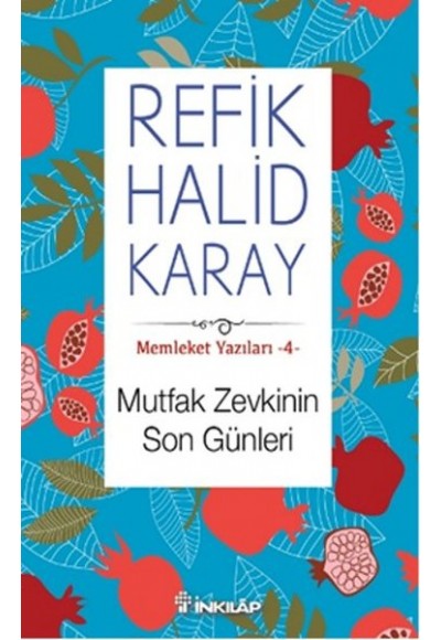 Memleket Yazıları 04 - Mutfak Zevkinin Son Günleri